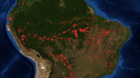 ¿Quién es responsable por los incendios en la Amazonía?